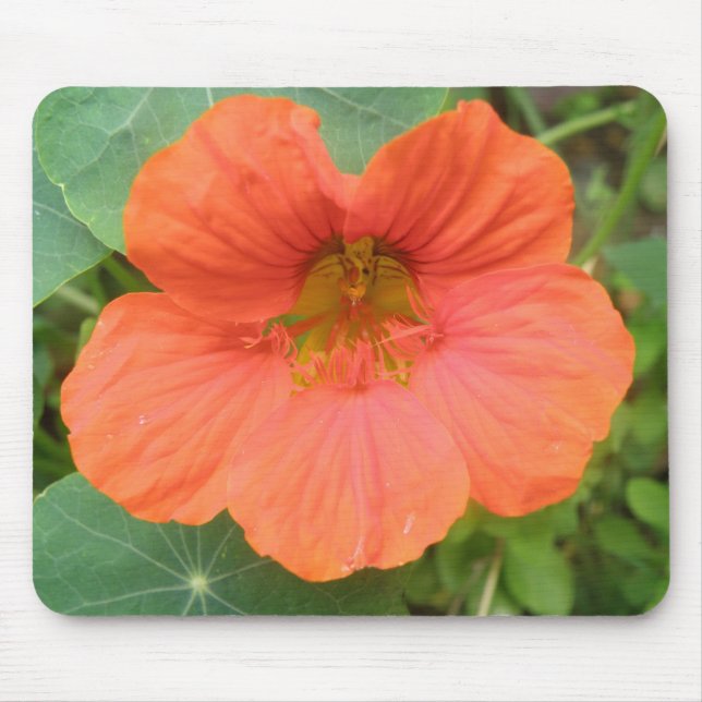Tapis De Souris Mousepad à fleurs de Nasturtium orange (Devant)