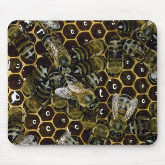 Tapis De Souris Mousepad - abeilles sur le peigne (Devant)