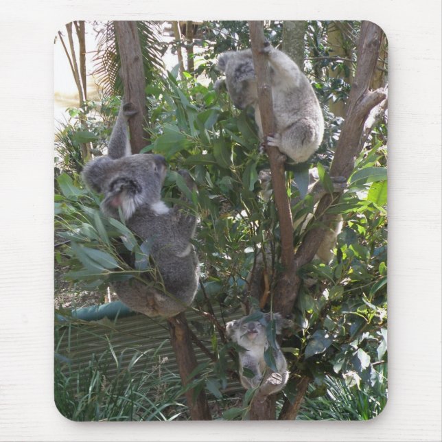 Tapis De Souris Mousepad Adopter Un Koala Australie (Devant)