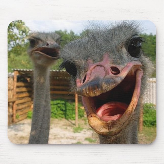 Tapis De Souris Mousepad au couple d'autruche (Devant)