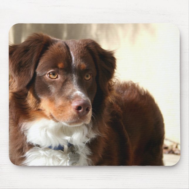 Tapis De Souris Mousepad australien de berger (Devant)