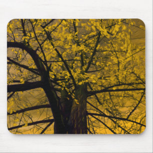 Tapis De Souris Mousepad Automne Jaune Peinture Arbre