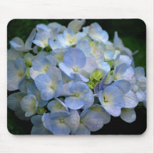 Mousepad avec les fleurs bleues d'hortensia