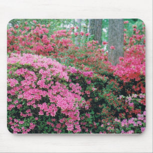 Tapis De Souris Mousepad avec un vaporisateur d'azalées roses