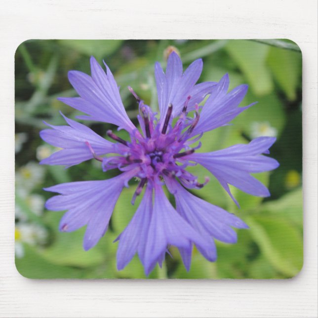 Tapis De Souris Mousepad blaue Kornblume (Devant)