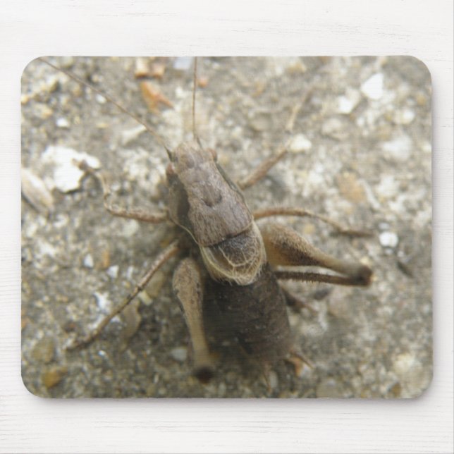 Tapis De Souris Mousepad Brown (Devant)