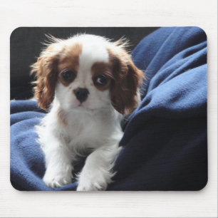 Tapis De Souris Mousepad cavalier de chiot du Roi Charles