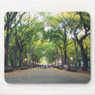 Tapis De Souris Mousepad - Central Park de NY