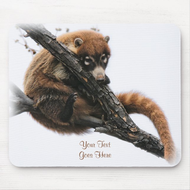 Tapis De Souris Mousepad : Coatimundi #5 (Devant)