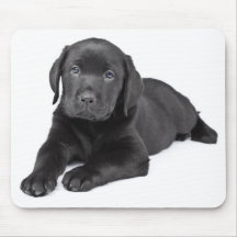 Mousepad, coquelicot noir du Labrador