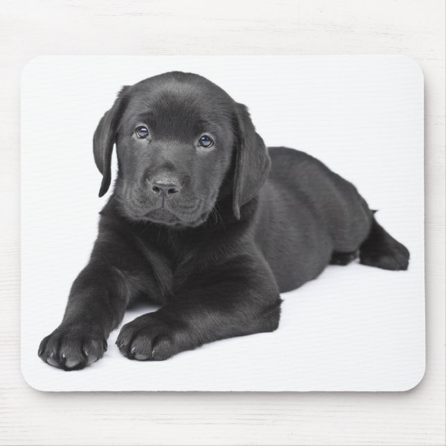 Tapis De Souris Mousepad, coquelicot noir du Labrador (Devant)