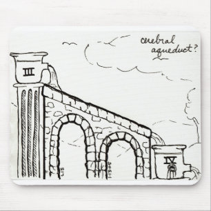 Tapis De Souris Mousepad d'aqueduc cérébral