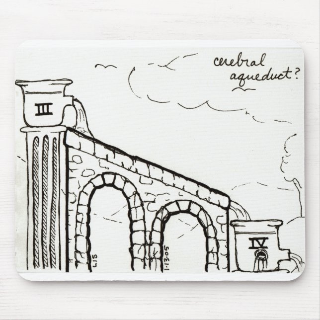 Tapis De Souris Mousepad d'aqueduc cérébral (Devant)