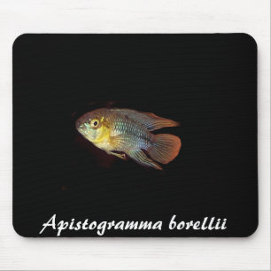 Tapis De Souris Mousepad de borellii d'Apistogramma