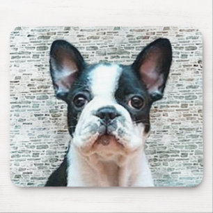 Tapis De Souris Mousepad de bouledogue français