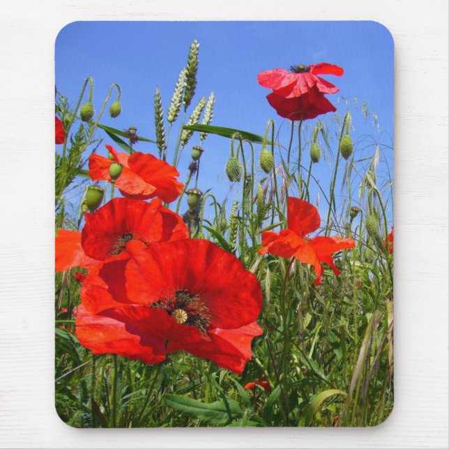 Tapis De Souris ~ Mousepad de CHAMP de PAVOT # 6 (Devant)
