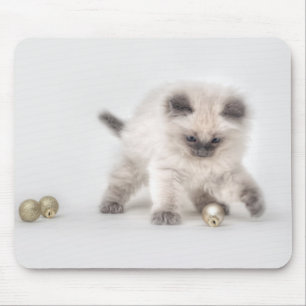 Tapis De Souris Mousepad de chaton de Ragdoll