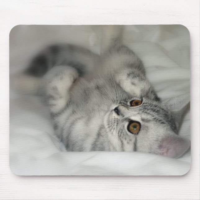 Tapis De Souris Mousepad de chaton repéré par argent (Devant)