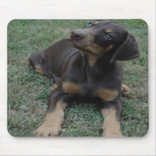 Tapis De Souris Mousepad de chiot de dobermann