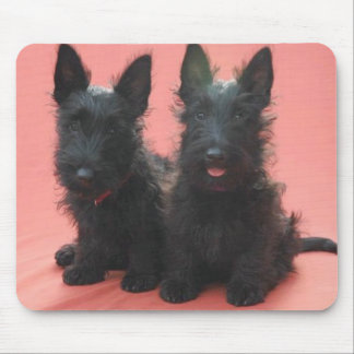 Tapis De Souris Mousepad de chiots de Terrier d'écossais