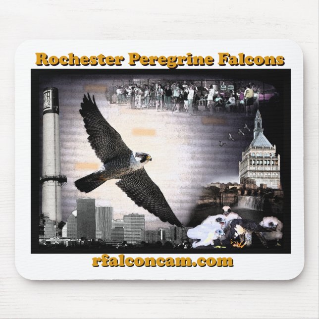 Tapis De Souris Mousepad de faucons de Rochester (Devant)