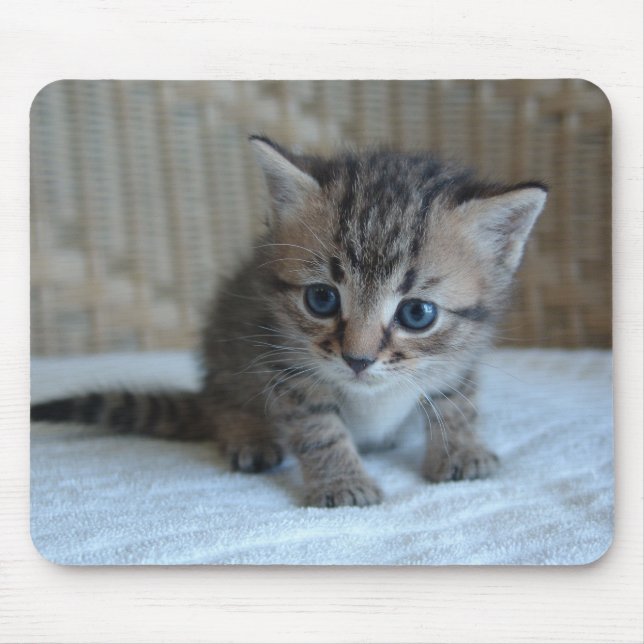 Tapis De Souris Mousepad de Habu (Devant)