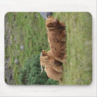Mousepad de Highland Coo