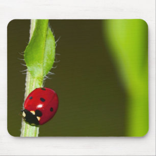 Tapis De Souris Mousepad de Ladybeetle