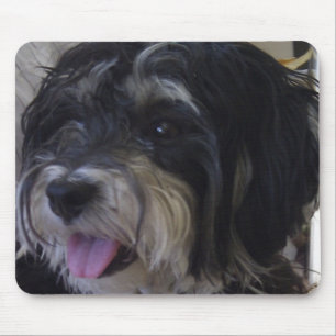 Tapis De Souris mousepad de maltipoo