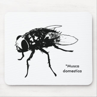 Tapis De Souris Mousepad de mouche domestique