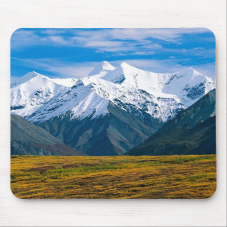 Tapis De Souris Mousepad de parc national de Denali