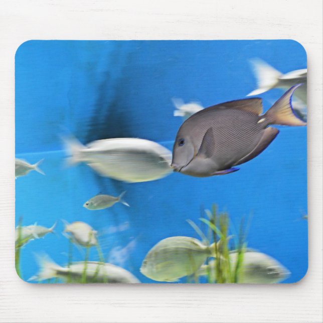 Tapis De Souris Mousepad de poisson bleu Tang (Devant)