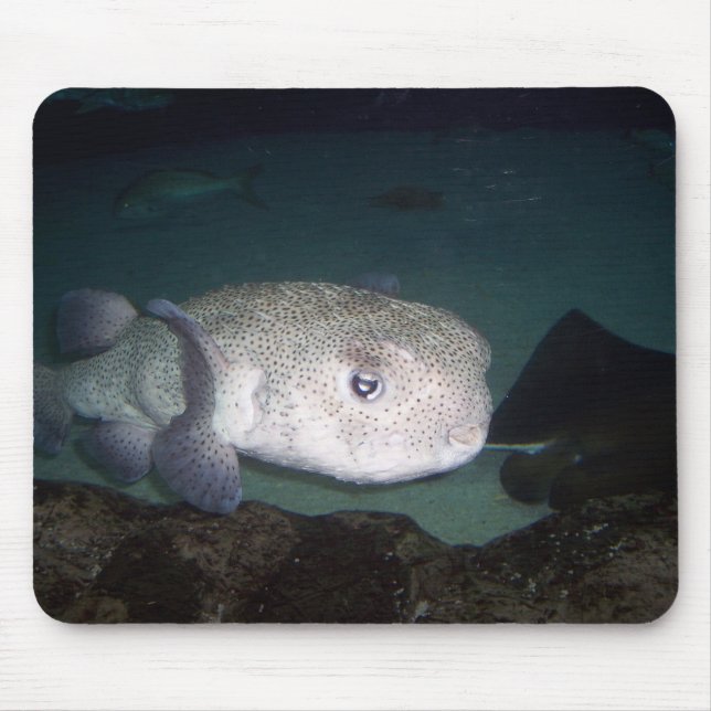 Tapis De Souris Mousepad de poissons de décolleur (Devant)