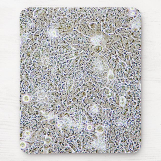 Tapis De Souris Mousepad de recherches de la science de tissu de (Devant)