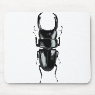 Tapis De Souris Mousepad de scarabée de mâle