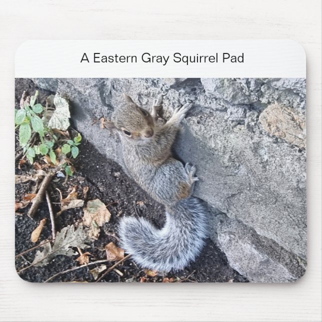 Tapis De Souris Mousepad d'écureuil gris-oriental (Devant)