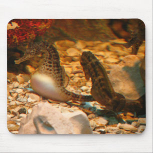 Tapis De Souris Mousepad d'hippocampe