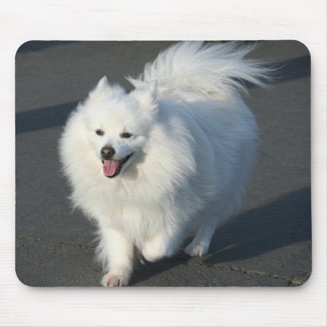 Tapis De Souris Mousepad esquimau américain (Devant)