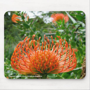 Tapis De Souris Mousepad - fleur de coussin de goupille de Protea