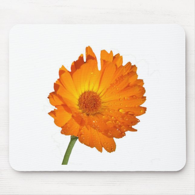 Tapis De Souris Mousepad - Fleur orange sur pierre (Devant)