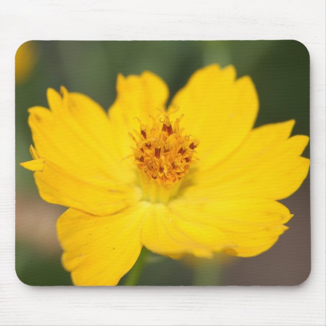 Tapis De Souris Mousepad floral jaune (Devant)