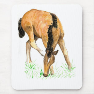 Tapis De Souris Mousepad 'Foal'