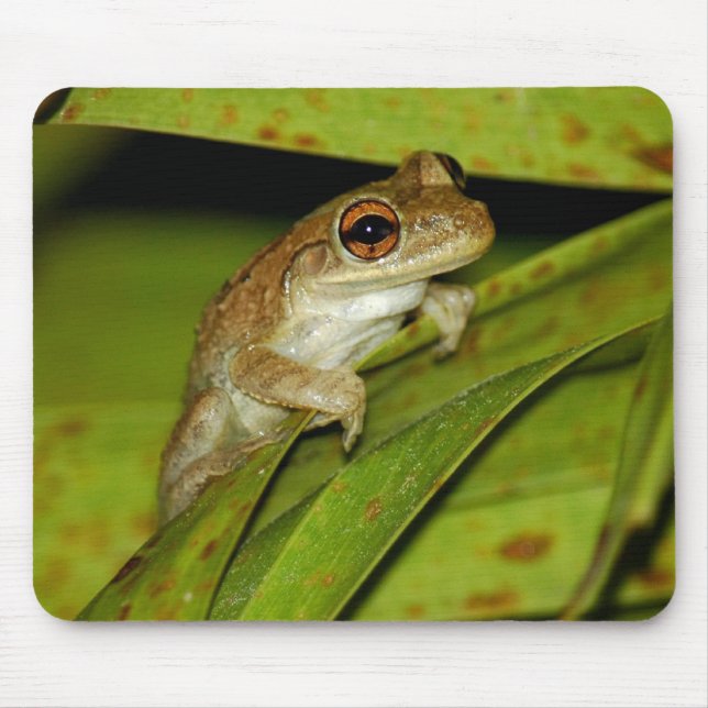 Tapis De Souris Mousepad, grenouille souriante (Devant)