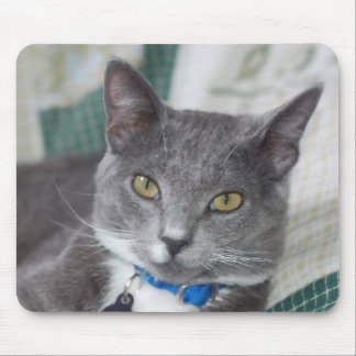 Tapis De Souris mousepad gris de chat tigré