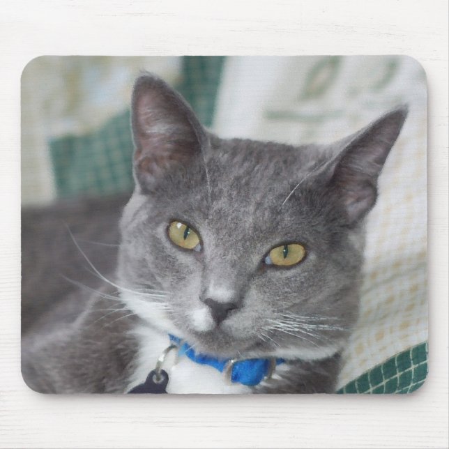 Tapis De Souris mousepad gris de chat tigré (Devant)