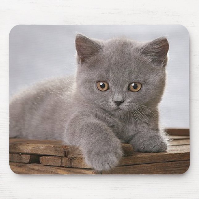 Tapis De Souris mousepad gris mignon de chaton (Devant)