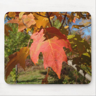 Tapis De Souris Mousepad impertinent de nature