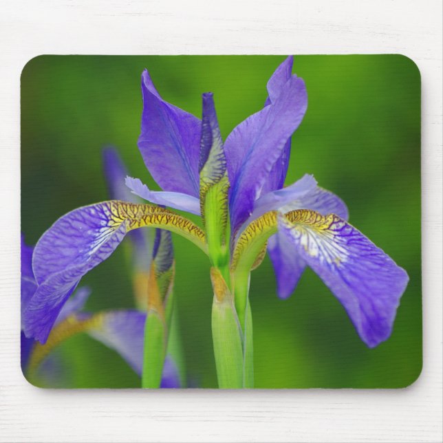 Tapis De Souris Mousepad Iris (Devant)
