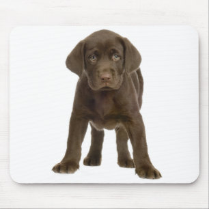 Tapis De Souris Mousepad, le chien coquelicot du Labrador rétrifi