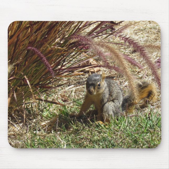 Tapis De Souris Mousepad - L'écureuil dans l'herbe (Devant)
